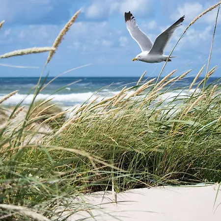 In Near The * Кнокке-Хейст